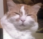 14644271-bce2-41c2-a88e-605771677c82