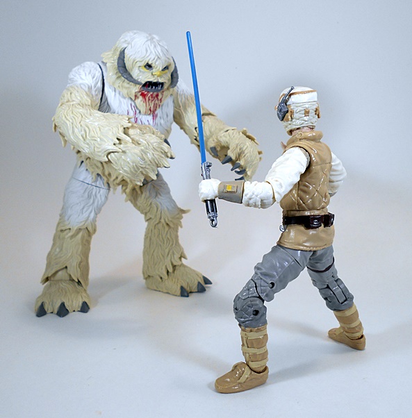 wampset13